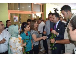 Bakan Çelik, Ergenekon Davasını Yorumladı