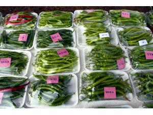 İşte Yerli Hibrit Biberlerimiz