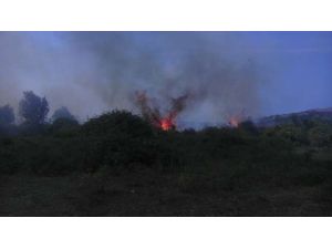 Orman Yangını Kontrol Altına Alındı