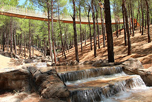 Poyraz Arslanbey Mesire Alanını İnceledi