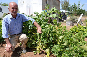 Yetiştirdiği Üzüme Kendi Adını Verdi