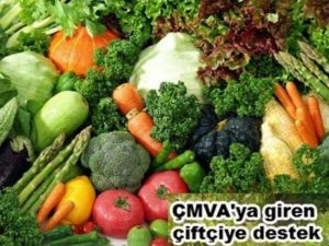 Tarımsal İşletmelere Katılım Desteği