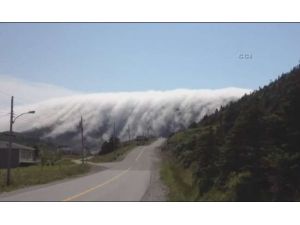 Tüyleri Ürperten Görüntü