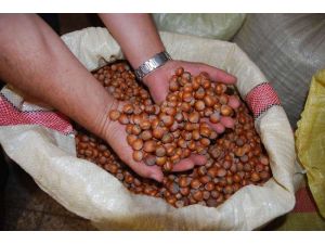 ’’...fiskobirliğin Önünde Kimse Duramayacak’’