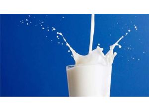 Eskişehir, ’’süt’’ İhracatı İçin Hazır