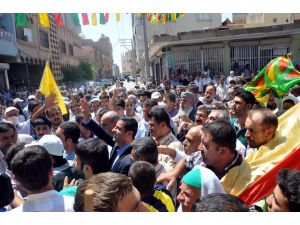 Demirtaş, Nusaybin Sınırında İncelemelerde Bulundu