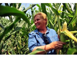 Özkan: Mısır Üreticisi Randevu Sistemini Benimsemeli