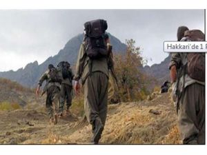 Hakkari’de 1 Pkk Üyesi Teslim Oldu