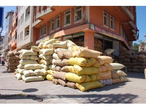 Fındıkta Şok Düşüş