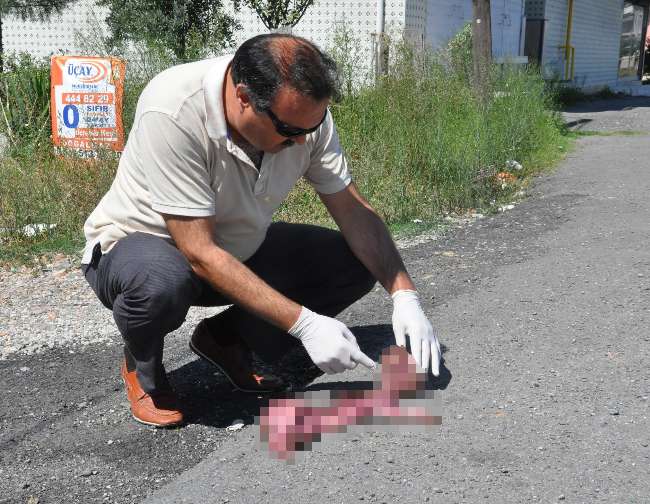 Bu Görüntü Polisi Alarma Geçirdi