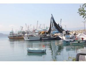 Balık Sezonu Başlıyor