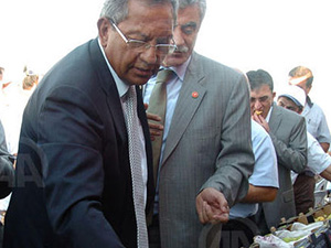 Maraş Sarı Çeltik, Sofralara Dönüyor