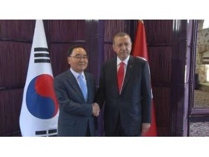 Erdoğan, Güney Koreli Mevkidaşını Ağırladı