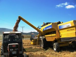 Biçerdöverle Buğday Hasadı Sona Erdi