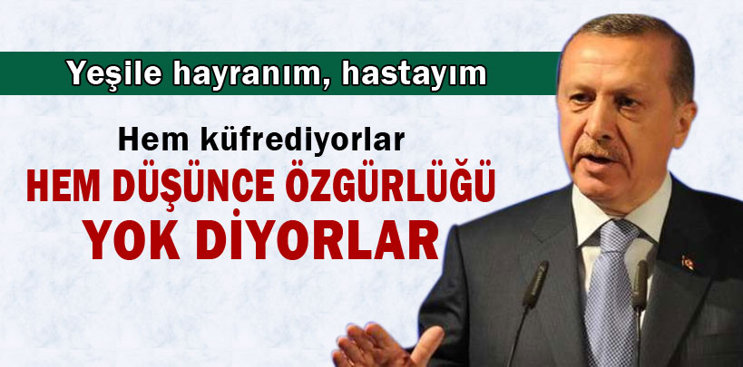 Başbakan Erdoğan, Yeşile Hayranım