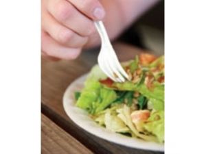 Plastik Çatal Ve Bıçaklardaki Tehlike