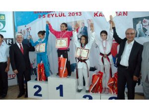 Minikler Türkiye Taekwondo Şampiyonası