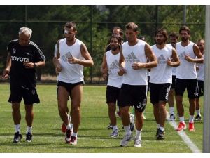 Kartal’da Timsah Hazırlığı Başlıyor