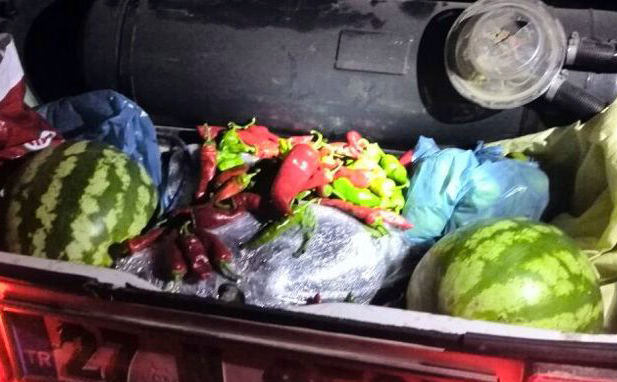 Uyuşturucu Sevkiyatı Narkotik Köpeklerine Takıldı