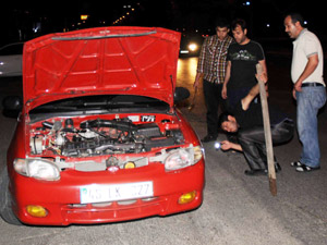 Piknik Dönüşü Yılanlı Yolculuk