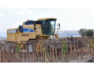 Çekirdek Yiyerek Ayçiçeği İthalatını Protesto Ettiler