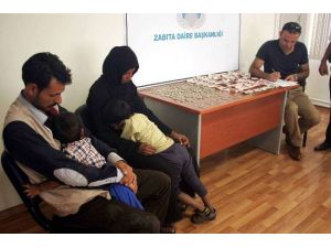 Dilenci Çiftin Hasılatı Şaşırttı