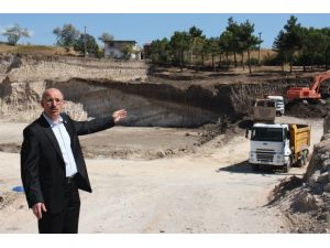 Öztürkten Ağaç Katliamına Tepki