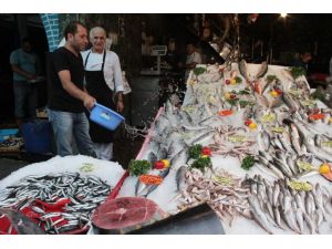 Balık Fiyatları 1 Ay Sonra Düşecek