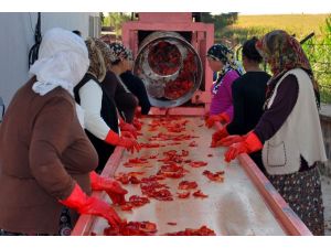 Şanlıurfa İsotu Pazar Sıkıntısı Çekiyor