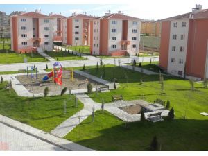 Toki’de Kura Heyecanı