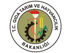 Bakanlık O İddiayı Yalanladı