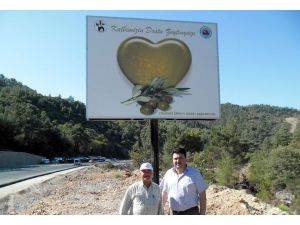 Zeytin Ve Zeytin Yağı Tanıtım Atağı