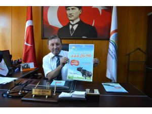 Alanya’da “alo Küpe Hattı”