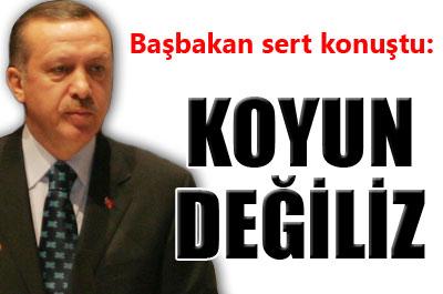 Erdoğan: Koyun değiliz 