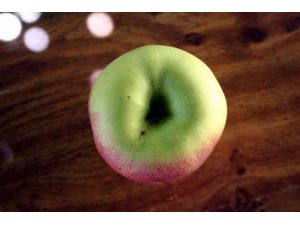 Bu Meyve Görenleri Şaşırtıyor