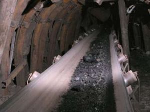 Oranın Sahibi Tutuklandı