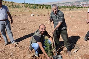Kahramanmaraşta Cezaevi Önüne Fidan Dikildi