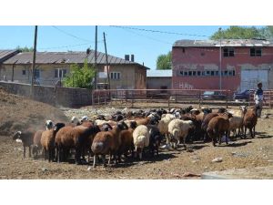 Satıcılardan Kurban Müjdesi