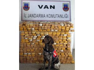 Yılın En Büyük Operasyonu