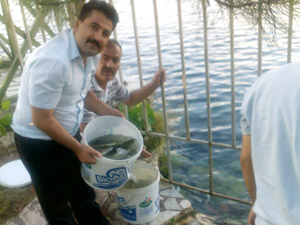 Türk Eğitim-Senden Örnek Davranış