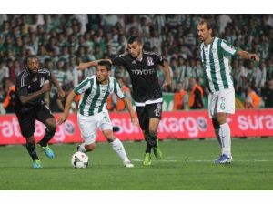Timsah’ın Kalesi S.o.s Veriyor