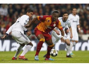 Aslan Ava Hazırlanıyor