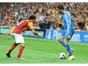 Terim’in Aslanlarını Vurdular