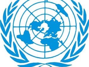 Krizin Çözülmesi İçin Daha Kararlı Hareket Edilmeli