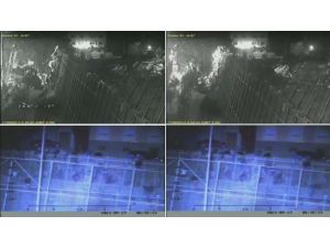 Tek İstekleri Avrupa’ya Geçmek