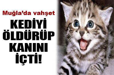 Oteldeki kediyi öldüren kadın serbest bırakıldı 