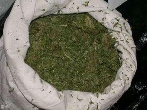 Ev İçerisinde 900 Kilo Esrar Sakladılar