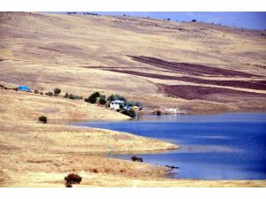 Leylekler Kadar Değerimiz Yok Mu?