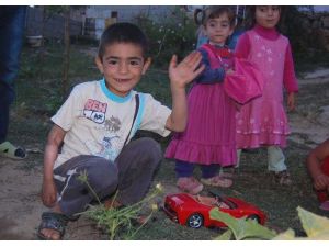 70 Bin Lira Bulunmazsa Dikilen Kolu Kesilecek