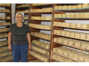 Şimdi De Eşek Sabunu